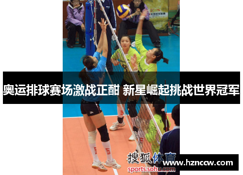 奥运排球赛场激战正酣 新星崛起挑战世界冠军 奥运排球赛场激战正酣 新星崛起挑战世界冠军